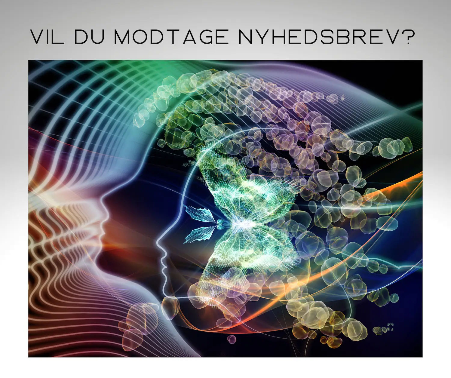 Helle Storch nyhedsbrev