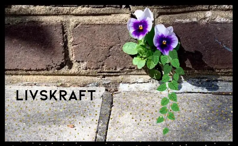 Livskraft